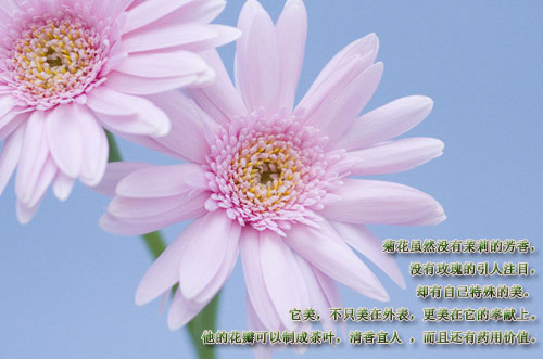��д�����ļѾ�